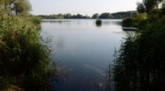 Będzie pomysł na Żwirownie i nowa strefa rekreacyjna w Lesznie?