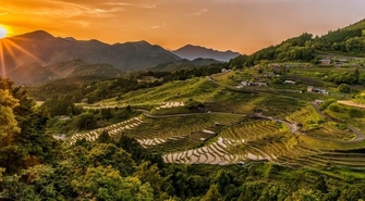 Herbaty japońskie – najlepsze gatunki