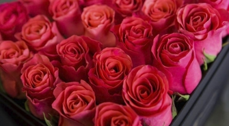 Wszystkiego najlepszego z okazji Dnia Kobiet