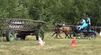 III Amatorskie zawody w powożeniu