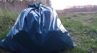 Weź 5 – ciekawe wyzwanie Nadleśnictwa Góra Śląska