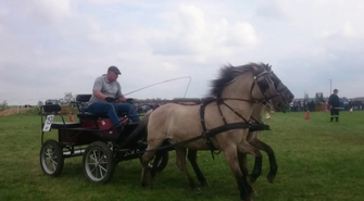 XXVIII Zawody w Powożeniu Zaprzęgami Parokonnymi w Bukówcu Górnym