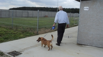 Drzwi otwarte w schronisku w Henrykowie