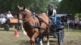 Konne zaprzęgi w Śmieszkowie