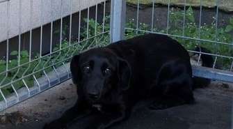 na swojego właściciela