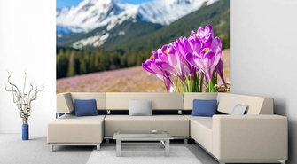 Wyjątkowe ozdoby do domu i biura