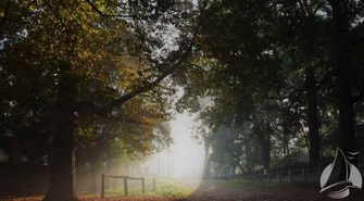Wyłączenie użytkowania z powodu budowy