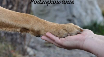 za uratowanie psa