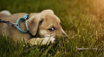 Kilka sprawdzonych rad