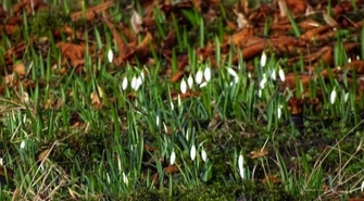 Czy to tylko anomalie pogodowe czy już ocieplenie klimatu