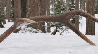 - obowiązuje zakaz wstępu do lasu na terenie gminy Sława