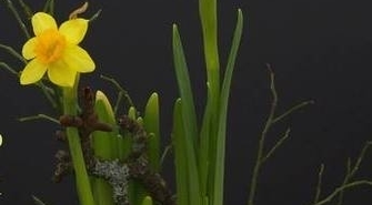 - zdrowia, rodzinnego nastroju i nadziei