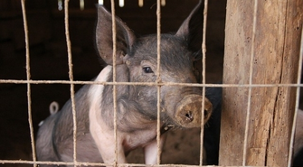 - czeka na Was wiele zmian