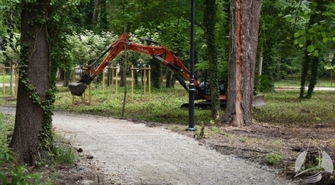 Raport ze sławskiego parku
