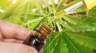 Lecznicze zastosowanie olejów CBD