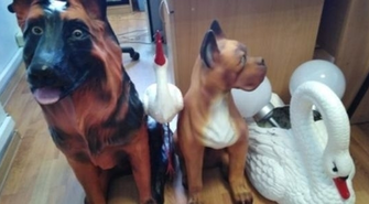 Odpowie za kradzież lamp solarnych i figur ogrodowych