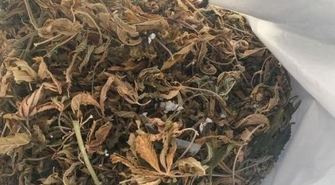 Areszt za kradzież samochodu oraz posiadanie znacznej ilości narkotyków