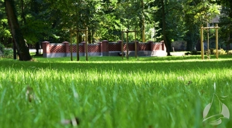 Więcej zieleni w sławskim parku