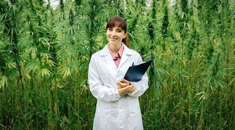 Jakie zalety mają konopie?