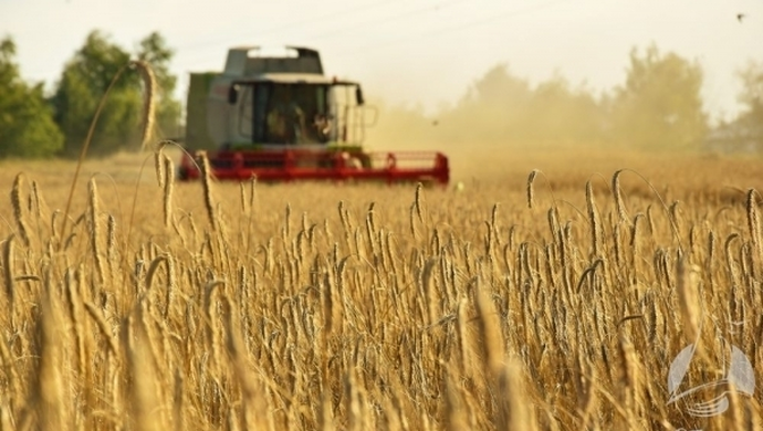 Zwrot podatku akcyzowego