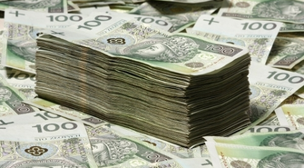 Zobacz, czym się zajmują