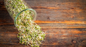  – krótki przewodnik dla początkujących ogrodników