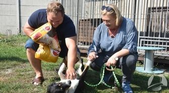 Piesek znalazł nowy dom!