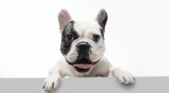 - sprawdź jak sobie z tym poradzić