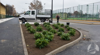 Ten projekt, to także zieleń