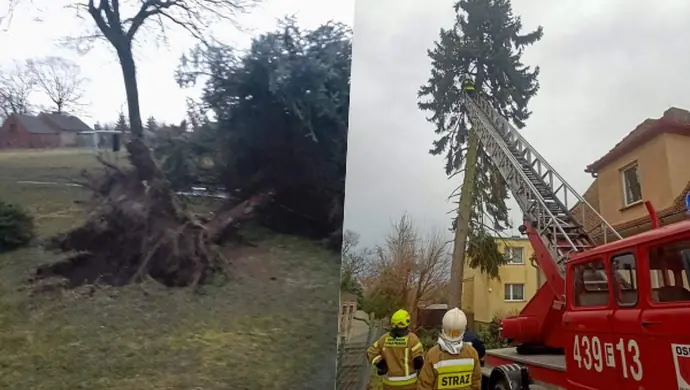 Burmistrz Wielgus składa podziękowania dla strażaków i służb komunalnych