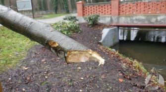 Dewastacja w Parku Miejskim (ZDJĘCIA)