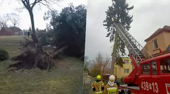 Burmistrz Wielgus składa podziękowania dla strażaków i służb komunalnych