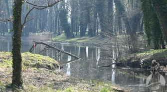 Druga część. Rewaloryzacja Parku w Sławie (ZDJĘCIA)
