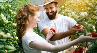 Sadzonki online - sklep ogrodniczy z dużym wyborem wyselekcjonowanych owoców i warzyw