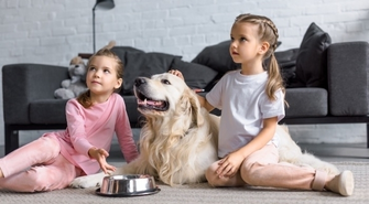 Karma Petner z jagnięciną – czy jest zdrowa dla Twojego psa?