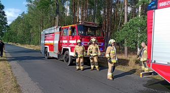 Pożar lasu w okolicach Goli! (ZDJĘCIA)