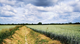 PSW zakończyła konserwację rowów melioracyjnych na terenie gminy Szlichtyngowa