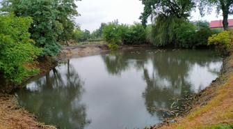 Staw przy ul. Moniuszki już czysty (ZDJĘCIA)