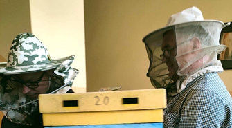 Pszczoły we wschowskim ratuszu! (ZDJĘCIA)