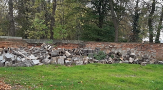 na sprzedaż drewna po wycince drzew na terenie Lapidarium