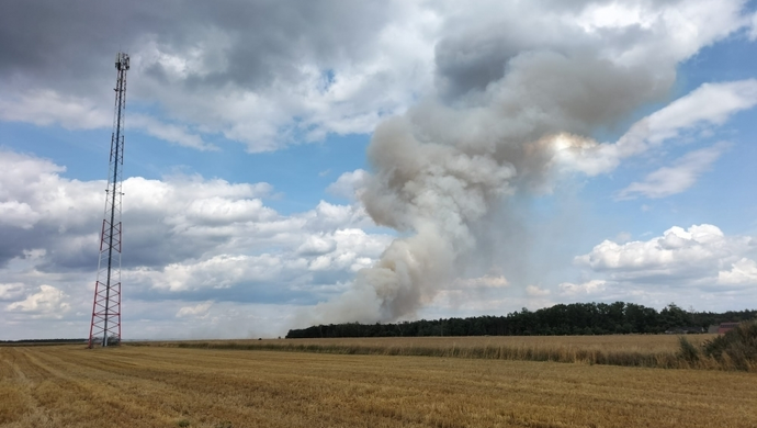 Krzepielów. Doszło do pożaru ścierniska. W akcji strażacy i rolnicy (FOTO)