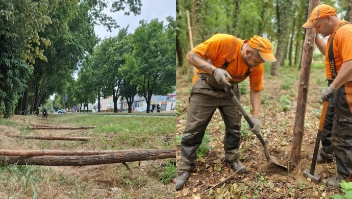 Park Wolsztyński we Wschowie. Rozpoczęło się grodzenie terenu budowy (FOTO)
