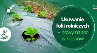 - skorzystaj z programu dofinansowania