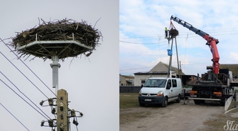 Bociany powrócą do Wróblowa na nową platformę (FOTO)