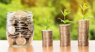 Diety krajowe - ile wynoszą?