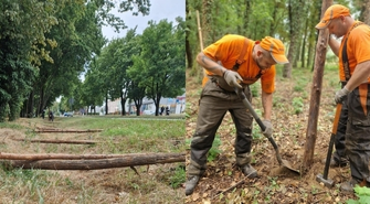 Park Wolsztyński we Wschowie. Rozpoczęło się grodzenie terenu budowy (FOTO)
