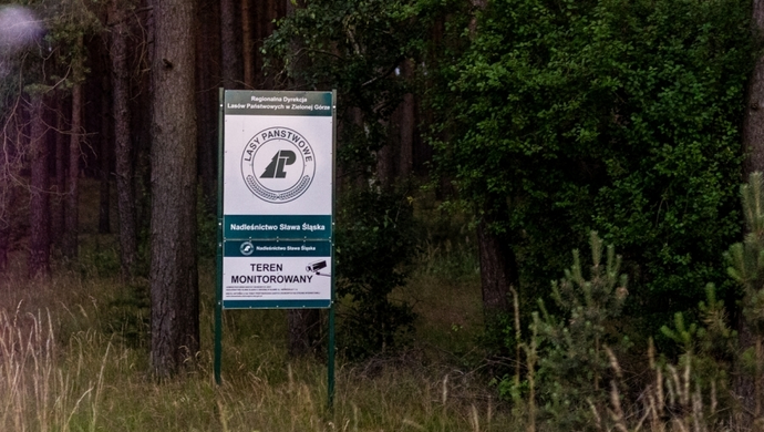 Wzmożone kontrole w lasach! Startuje akcja „Jesień 2024”