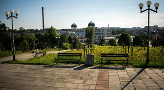 Rynek pracy w Zielonej Górze - jak miasto wypada na tle kraju i gdzie szukać zatrudnienia?