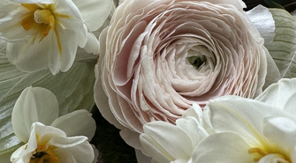 Dzień Kobiet we Wschowie. Warsztaty psychologiczne i muzyczne show! (ZAPOWIEDŹ)