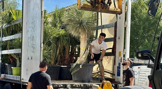 Klub na Fali w Sławie Przyjmuje Egzotyczne Palmy Prosto z Alicante